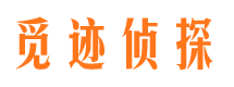 大新侦探